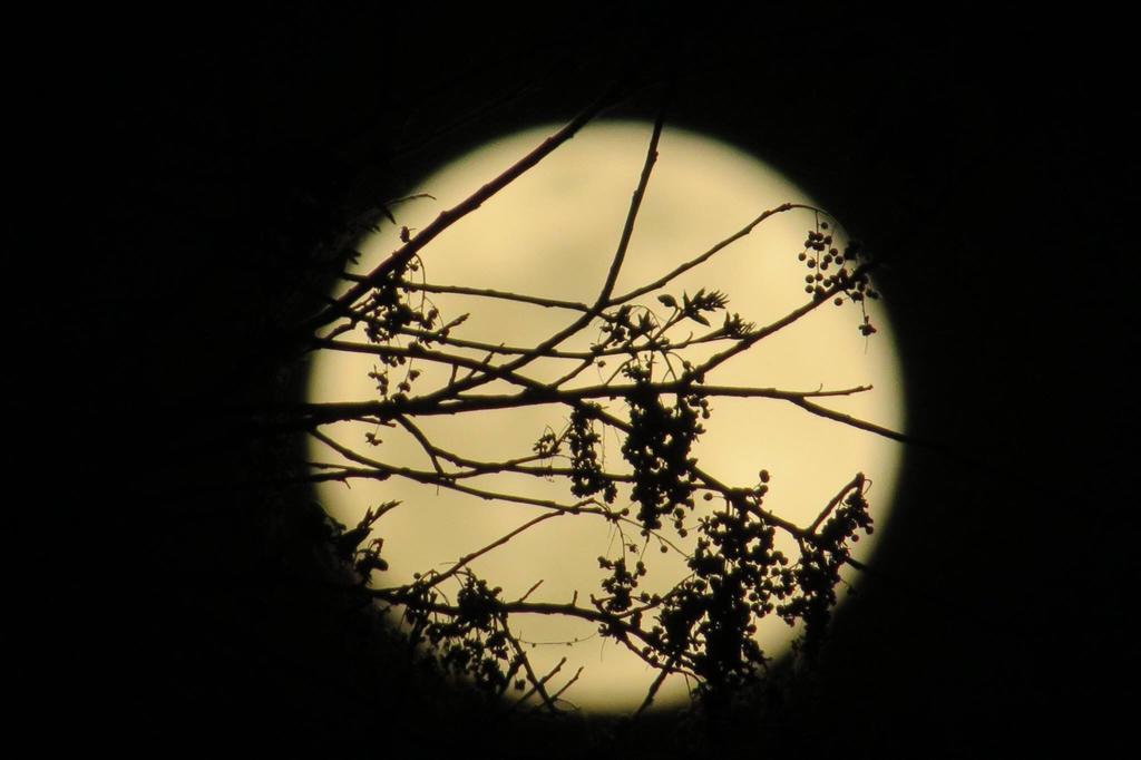 Pousada Luna Zen Піренополіс Екстер'єр фото